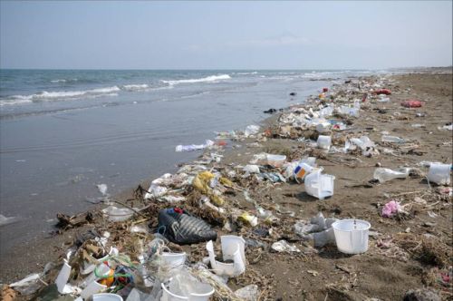 Ad:  6.jpg
Gsterim: 1531
Boyut:  36.1 KB