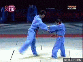 Ad:  vovinam_o_GIFSoup.com.gif
Gsterim: 625
Boyut:  2.72 MB