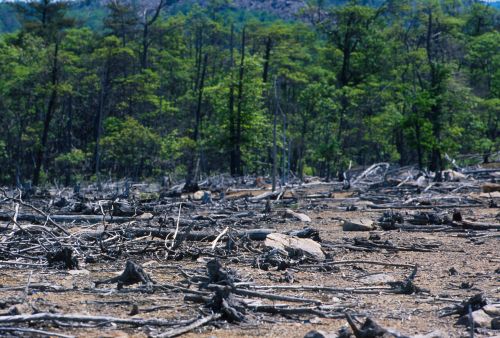 Ad:  4.jpg
Gsterim: 1822
Boyut:  64.8 KB