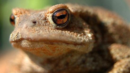 Ad:  thumbs_b_c_6200f17ffeb9366d6d30c8df32e23570.jpg
Gsterim: 504
Boyut:  51.0 KB