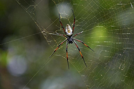 Ad:  143775034smallll.jpg
Gsterim: 841
Boyut:  63.2 KB