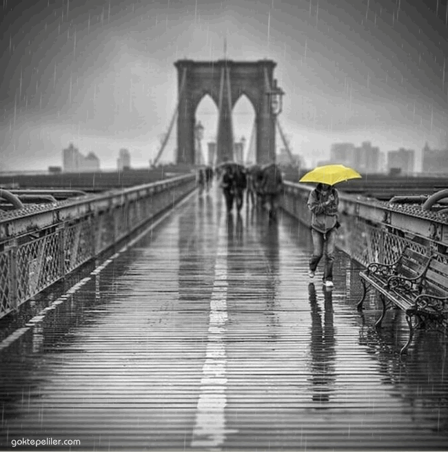 Ad:  kizyagmur33.gif
Gsterim: 651
Boyut:  682.0 KB