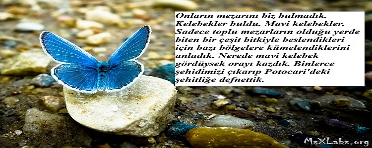 Ad: mavi kelebekler.jpg
Gösterim: 817
Boyut: 133.8 KB