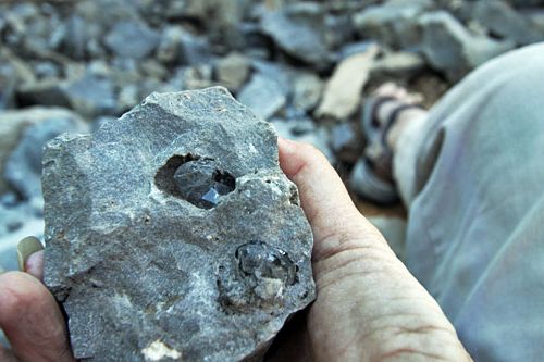 Ad:  7.jpg
Gsterim: 5297
Boyut:  34.6 KB