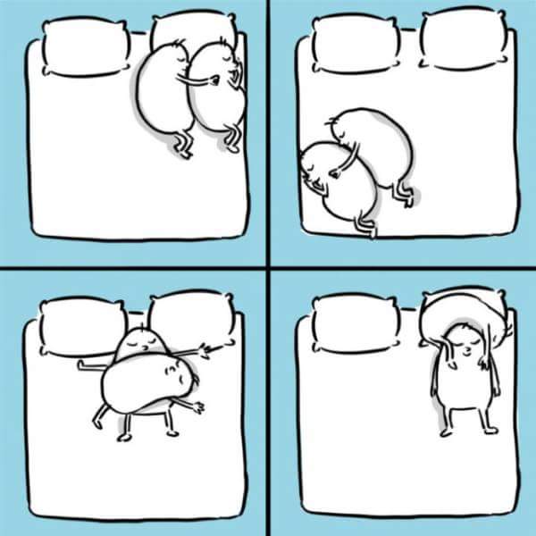 Ad:  19511367_126326024628515_3479516923347608229_n.jpg
Gsterim: 149
Boyut:  25.4 KB