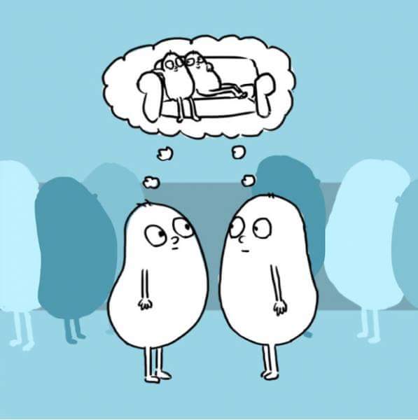 Ad:  19657339_126326147961836_4244608654507924981_n.jpg
Gsterim: 143
Boyut:  18.7 KB