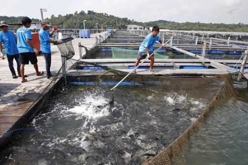 Ad:  6.jpg
Gsterim: 3309
Boyut:  46.9 KB