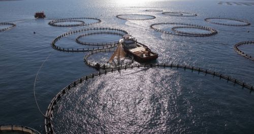 Ad:  1.jpg
Gsterim: 1533
Boyut:  31.7 KB