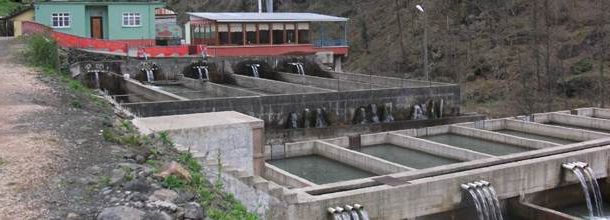 Ad:  4.jpg
Gsterim: 1602
Boyut:  32.9 KB