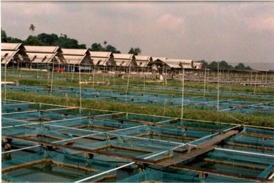 Ad:  2.jpg
Gsterim: 1310
Boyut:  42.7 KB