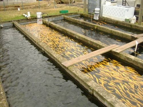 Ad:  3.jpg
Gsterim: 2441
Boyut:  58.6 KB