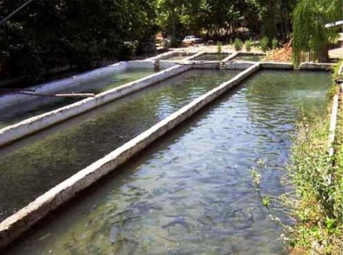 Ad:  7.jpg
Gsterim: 1850
Boyut:  50.9 KB