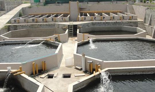 Ad:  9.jpg
Gsterim: 1930
Boyut:  42.0 KB