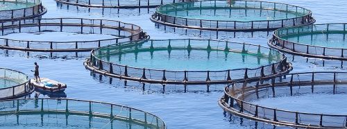 Ad:  8.jpg
Gsterim: 1458
Boyut:  54.7 KB