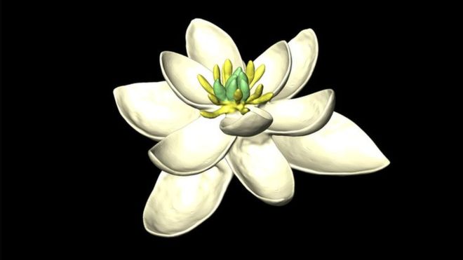 Ad: _97141772_flower_model_obligue7_5000x4000.jpg
Gösterim: 2288
Boyut: 17.3 KB