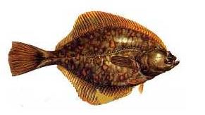 Ad:  5.JPG
Gsterim: 636
Boyut:  16.3 KB