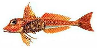 Ad:  7.JPG
Gsterim: 596
Boyut:  18.3 KB