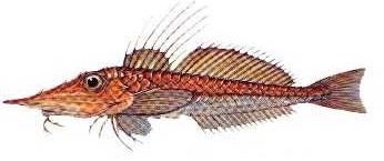 Ad:  8.JPG
Gsterim: 601
Boyut:  17.3 KB