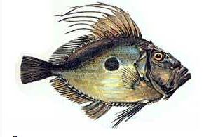 Ad:  10.JPG
Gsterim: 575
Boyut:  19.4 KB