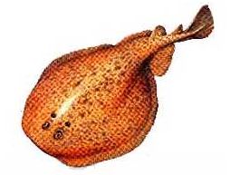 Ad:  12.JPG
Gsterim: 577
Boyut:  17.2 KB