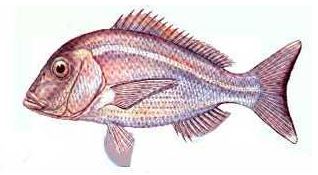 Ad:  14.JPG
Gsterim: 605
Boyut:  19.4 KB