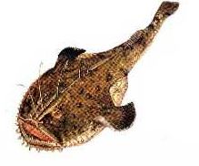 Ad:  15.JPG
Gsterim: 567
Boyut:  15.0 KB