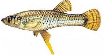 Ad:  1.JPG
Gsterim: 576
Boyut:  18.9 KB