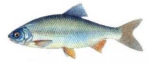 Ad:  5.JPG
Gsterim: 552
Boyut:  14.8 KB