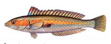 Ad:  9.JPG
Gsterim: 608
Boyut:  15.8 KB