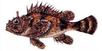 Ad:  17.JPG
Gsterim: 588
Boyut:  22.0 KB