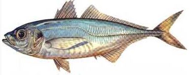 Ad:  19.JPG
Gsterim: 603
Boyut:  18.5 KB