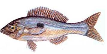 Ad:  20.JPG
Gsterim: 508
Boyut:  19.1 KB