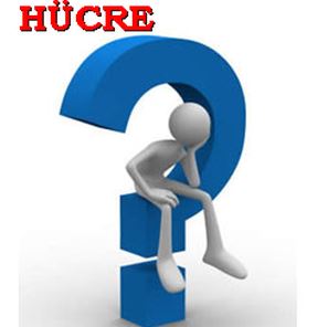 Ad:  hcrene.JPG
Gsterim: 220
Boyut:  17.0 KB