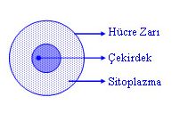 Ad:  1.JPG
Gsterim: 1744
Boyut:  13.2 KB