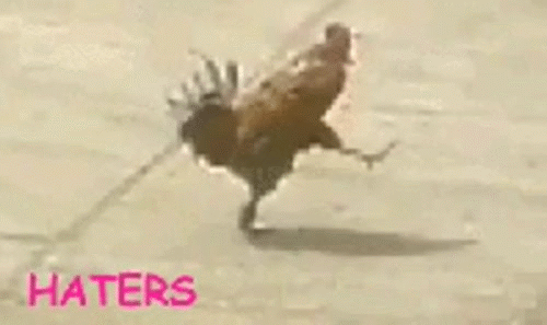 Ad:  haters-gonna-hate-listelist.gif
Gsterim: 4425
Boyut:  3.20 MB