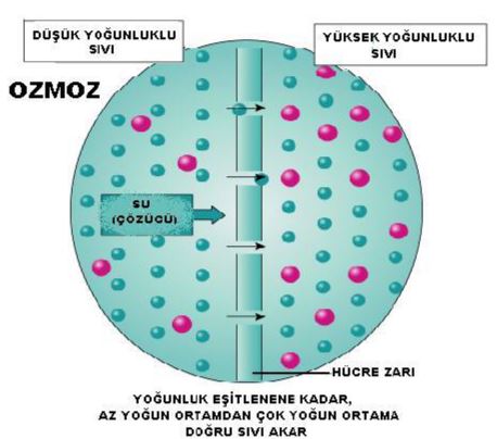 Ad: av2.JPG
Gösterim: 854
Boyut: 35.9 KB Ad: av2.JPG
Gösterim: 854
Boyut: 35.9 KB