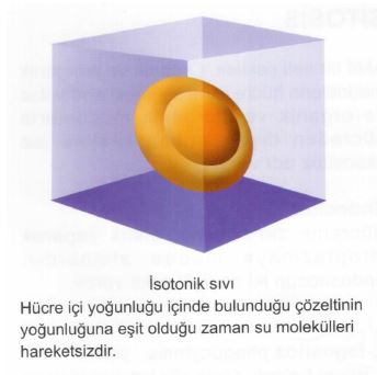Ad: av3.JPG
Gösterim: 691
Boyut: 20.9 KB Ad: av3.JPG
Gösterim: 691
Boyut: 20.9 KB