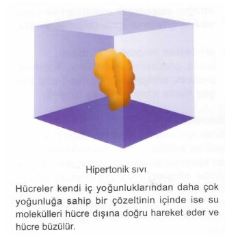 Ad: av4.JPG
Gösterim: 497
Boyut: 21.6 KB Ad: av4.JPG
Gösterim: 497
Boyut: 21.6 KB