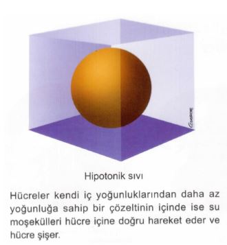 Ad: av5.JPG
Gösterim: 600
Boyut: 21.1 KB Ad: av5.JPG
Gösterim: 600
Boyut: 21.1 KB