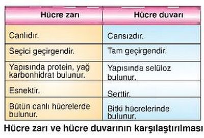 Ad:  1hduvar.JPG
Gsterim: 3261
Boyut:  36.3 KB