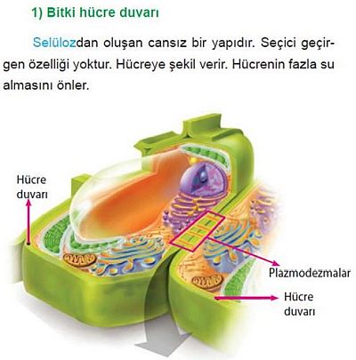 Ad:  bd.JPG
Gsterim: 3424
Boyut:  34.2 KB