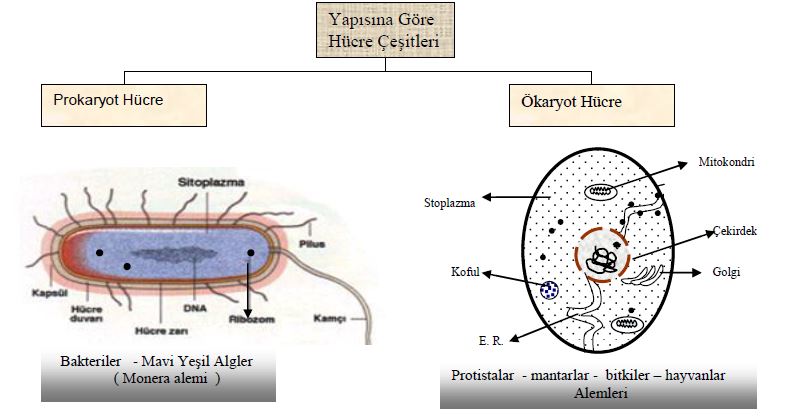 Ad:  h1.JPG
Gsterim: 3360
Boyut:  54.1 KB