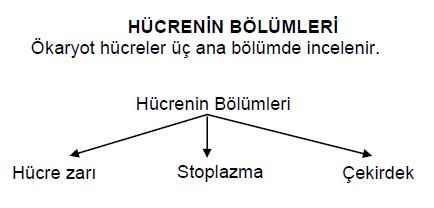 Ad:  h2.JPG
Gsterim: 2155
Boyut:  21.3 KB