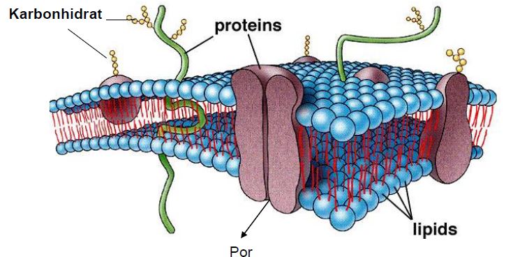 Ad:  h3.JPG
Gsterim: 2855
Boyut:  62.8 KB
