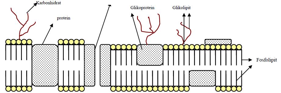 Ad:  h4.JPG
Gsterim: 1893
Boyut:  62.3 KB