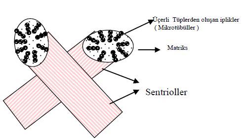 Ad:  h9.JPG
Gsterim: 1828
Boyut:  30.3 KB