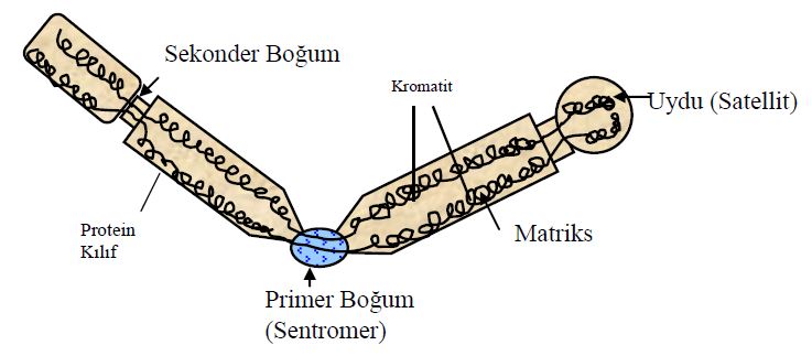 Ad:  h13.JPG
Gsterim: 1792
Boyut:  40.0 KB