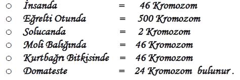 Ad:  h14.JPG
Gsterim: 1581
Boyut:  25.7 KB