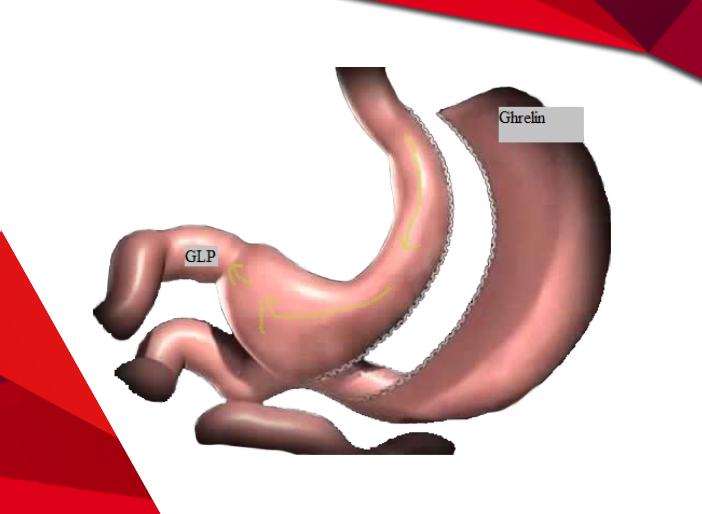 Ad:  ekol3.jpg
Gsterim: 589
Boyut:  123.0 KB