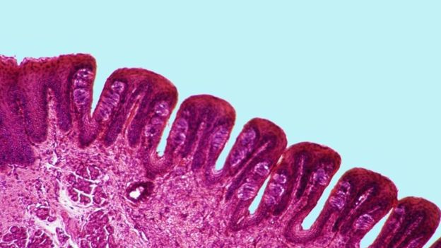 Ad:  _98284212_65a20a0a-3ff1-4043-91b8-f4756640f519.jpg
Gsterim: 8008
Boyut:  39.8 KB